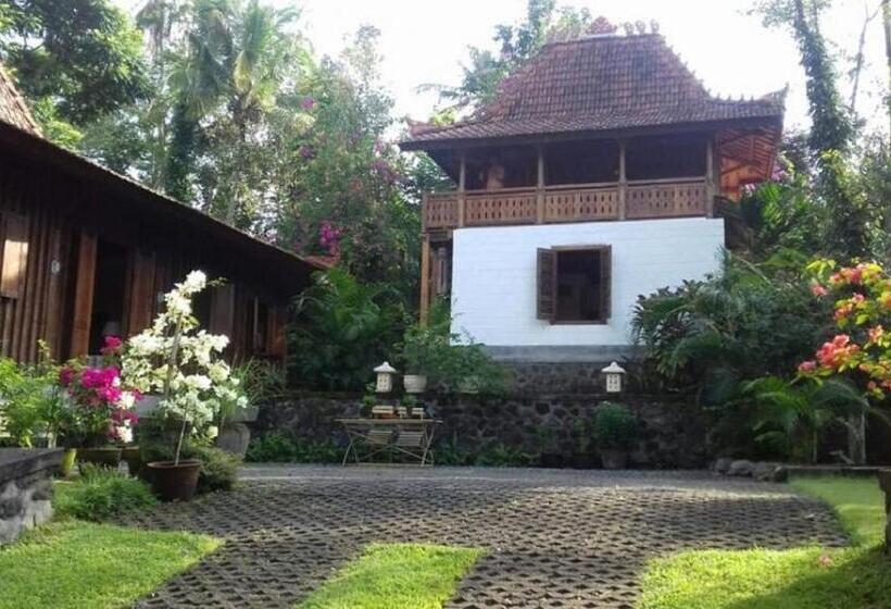 חדר אקונומי, Bukit Asri Lodge