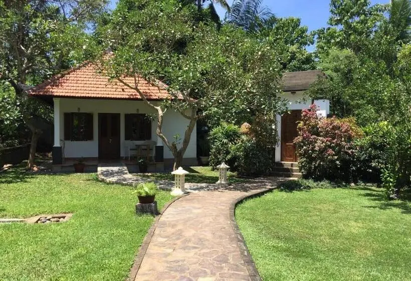 スタンダードバンガロー, Bukit Asri Lodge