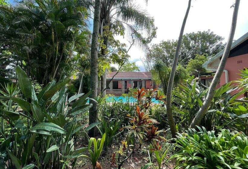 Номер Стандарт Вид на Бассейн, Positano Lodge