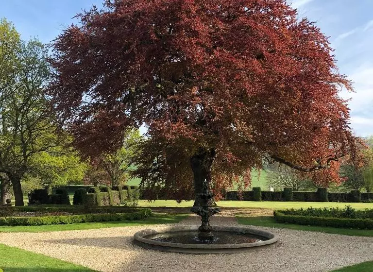 スイート, Gisborough Hall