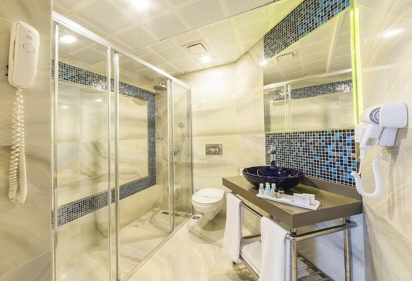 スタンダードルーム, Grand Yavuz Hotel Sultanahmet