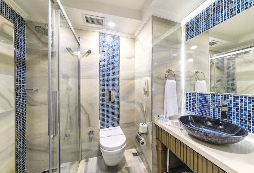 غرفة إقتصادية, Grand Yavuz Hotel Sultanahmet