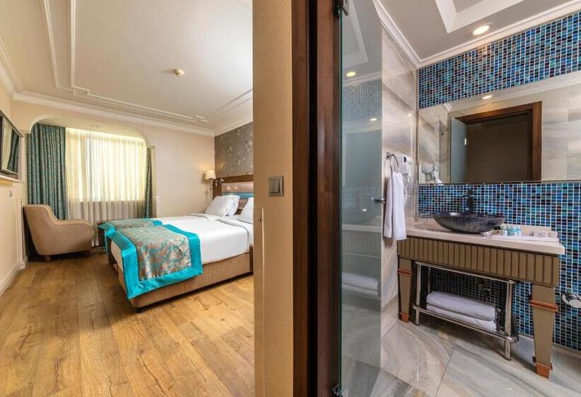 غرفة قياسية, Grand Yavuz Hotel Sultanahmet