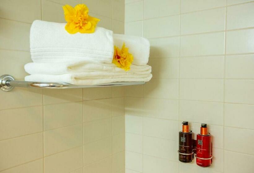 패밀리 룸, Ms Vila Nova