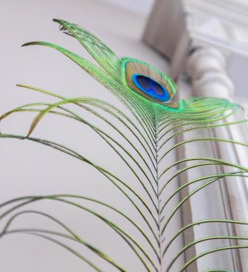 高级大房间, Domaine Castell De Blés