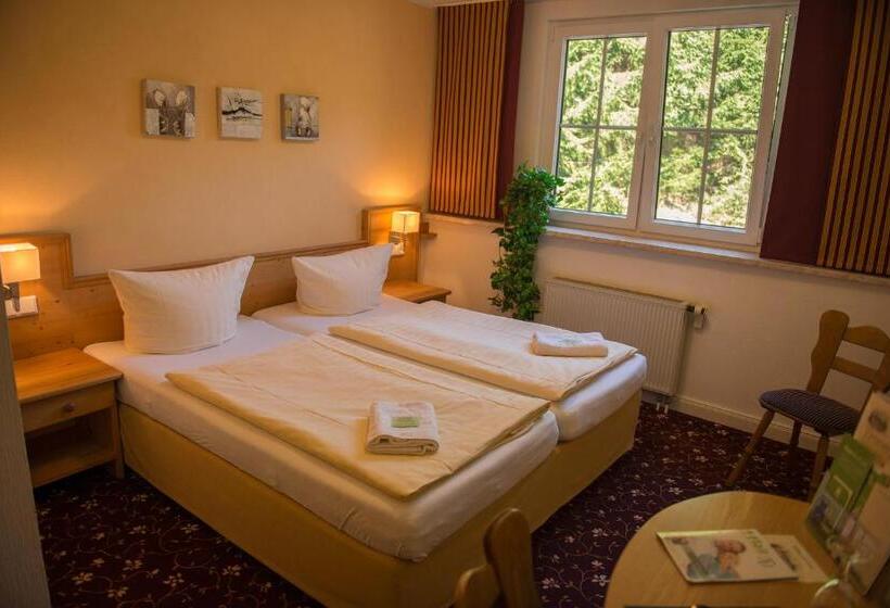 베이직 3인 룸, Flair Waldhotel Mellestollen