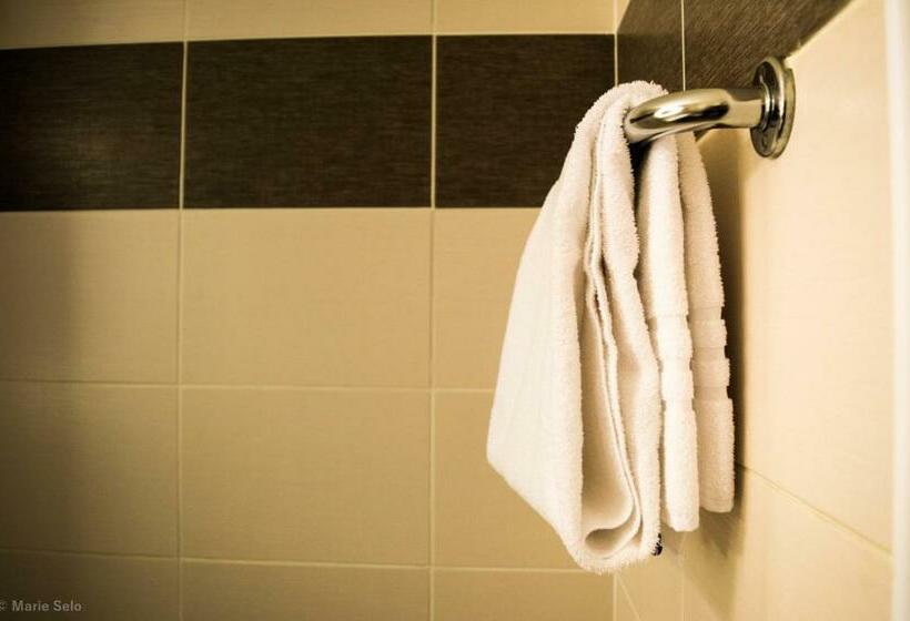 غرفة سوبيريور فردية, Best Western Auray Le Loch