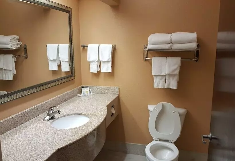 スイート, Comfort Suites Mobile East Bay