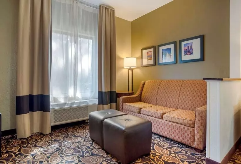 スイート, Comfort Suites Mobile East Bay
