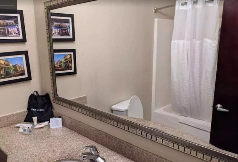 スイート, Comfort Suites Mobile East Bay