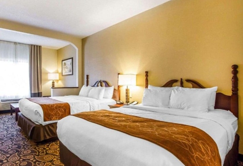 סוויטה, Comfort Suites Mobile East Bay