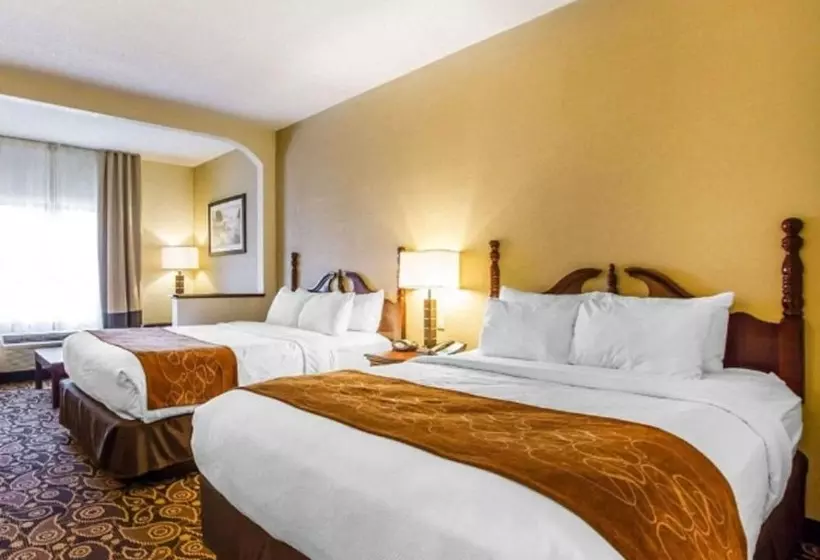スイート, Comfort Suites Mobile East Bay