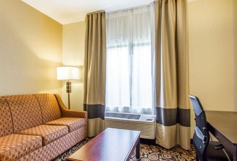 סוויטה, Comfort Suites Mobile East Bay