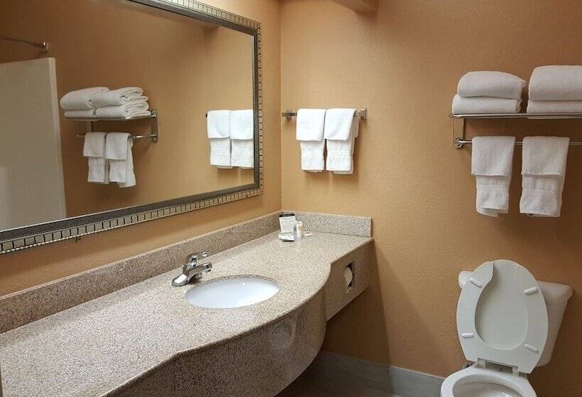 סוויטה, Comfort Suites Mobile East Bay