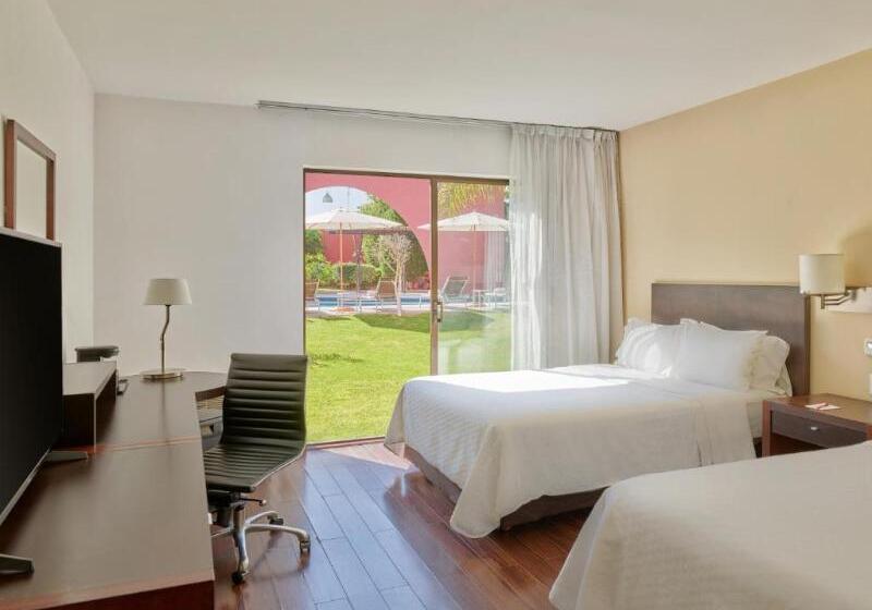 Superior Oda, Fiesta Inn Aguascalientes