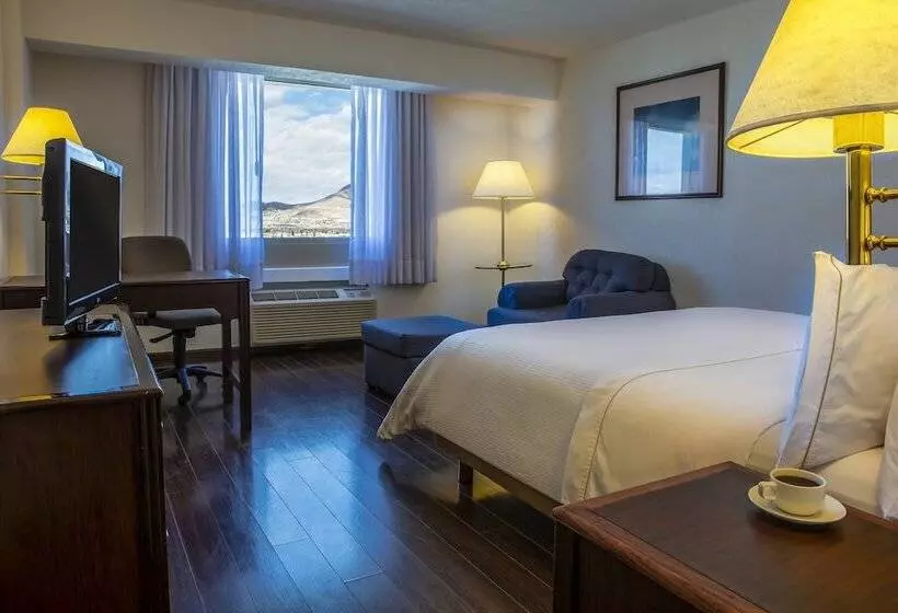 اتاق سوپریور, Fiesta Inn Ciudad Juarez