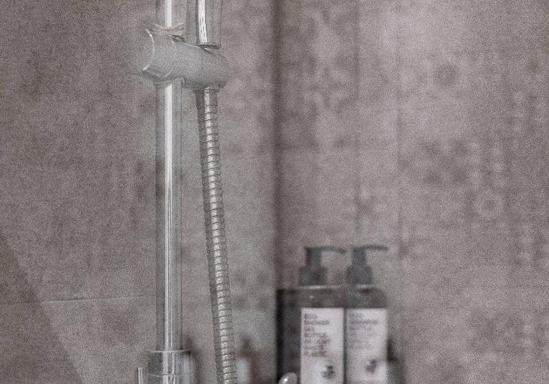 اتاق استاندارد, Petit Palace Plaza De La Reina