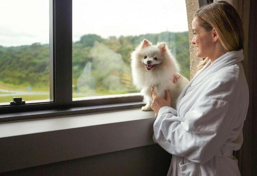 古典房间, Pullman Sao Paulo Guarulhos Airport