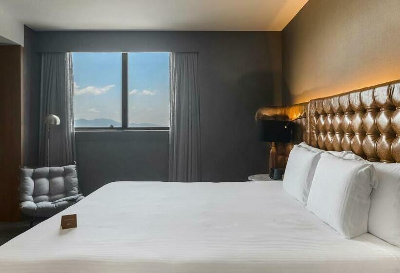 اتاق اجرایی با تخت بزرگ, Pullman Sao Paulo Guarulhos Airport