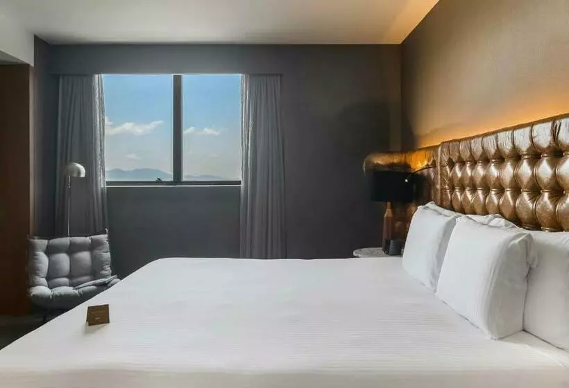 اتاق اجرایی با تخت بزرگ, Pullman Sao Paulo Guarulhos Airport