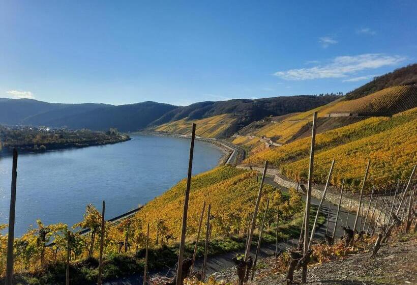 غرفة سوبيريور, Park Villa Zentral Am Mittelrhein   Zimmer & Apartments