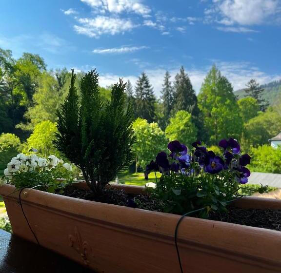 غرفة قياسية مزوَّدة بشُرفة, Park Villa Zentral Am Mittelrhein   Zimmer & Apartments