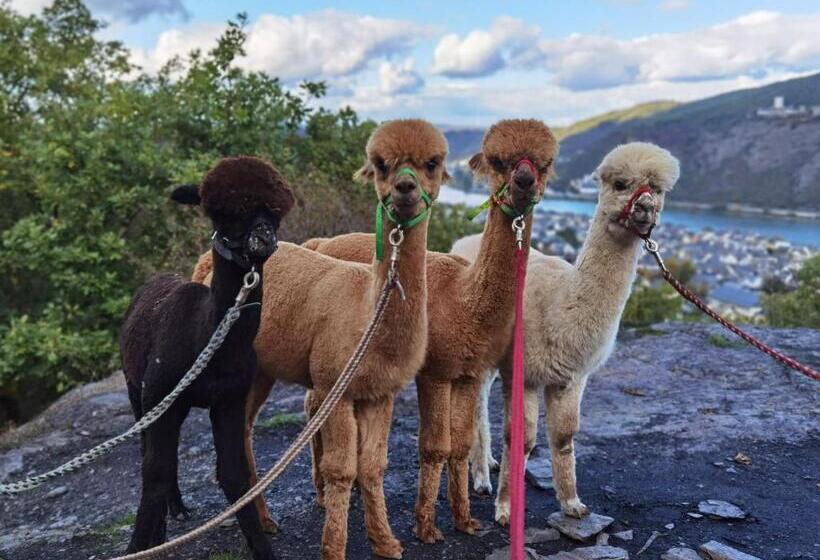 شقة سوبريور غرفة واحدة, Park Villa Zentral Am Mittelrhein   Zimmer & Apartments