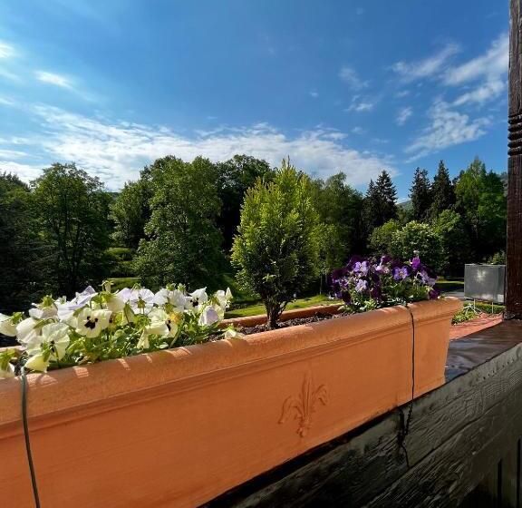 شقة سوبريور غرفة واحدة, Park Villa Zentral Am Mittelrhein   Zimmer & Apartments