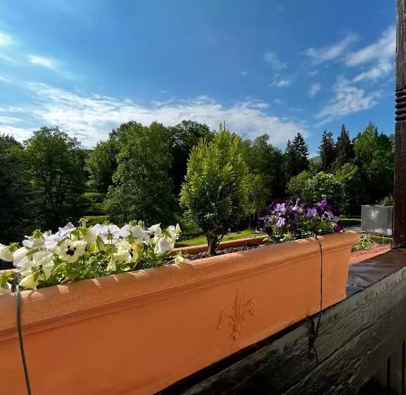 １ベッドルームのスーペリアアパートメント, Park Villa Zentral Am Mittelrhein   Zimmer & Apartments