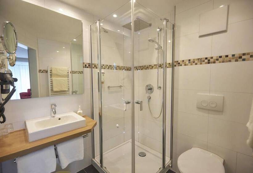 Номер Комфорт, Flair Hotel Landgasthof Roger