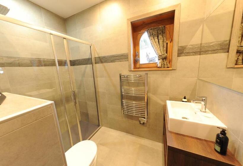 수피리어 트리플 룸, Bellevue