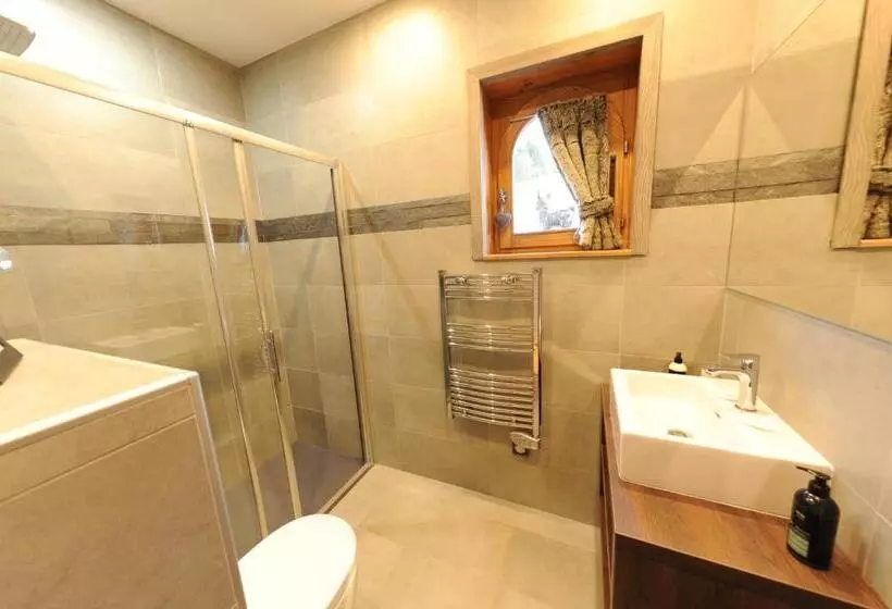 اتاق سوپریور چهار تخته, Bellevue
