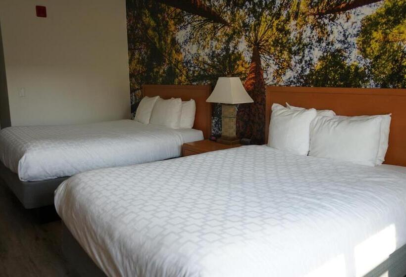 수피리어 룸, Comfort Inn Hanford Lemoore