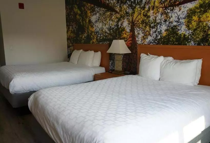 اتاق سوپریور, Comfort Inn Hanford Lemoore