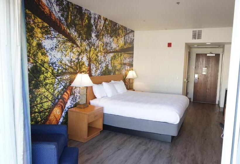 디럭스 룸 킹사이즈 침대, Comfort Inn Hanford Lemoore