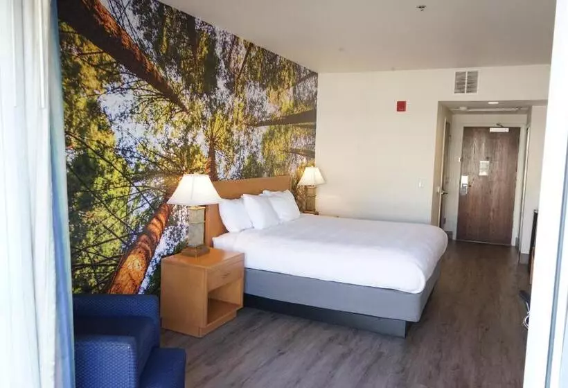 اتاق سوپریور با تخت بزرگ, Comfort Inn Hanford Lemoore