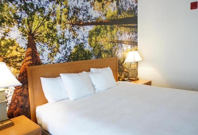 디럭스 룸 킹사이즈 침대, Comfort Inn Hanford Lemoore