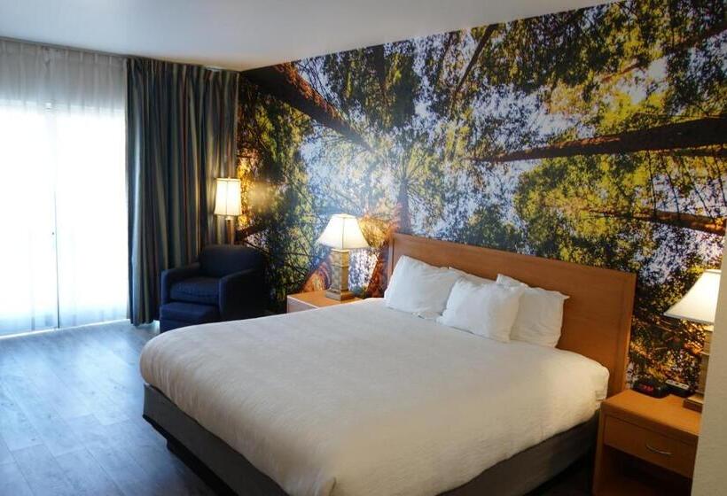 디럭스 룸 킹사이즈 침대, Comfort Inn Hanford Lemoore