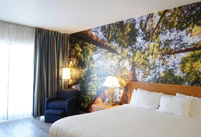 디럭스 룸 킹사이즈 침대, Comfort Inn Hanford Lemoore