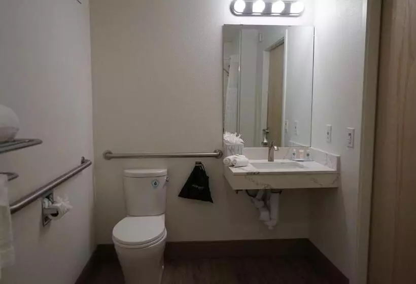 اتاق استاندارد با تخت بزرگ برای معلولان, Comfort Inn Hanford Lemoore