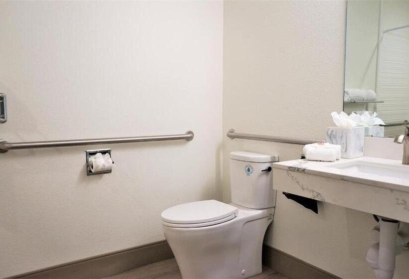 장애인을 위한 킹사이즈 침대 스탠다드 룸, Comfort Inn Hanford Lemoore