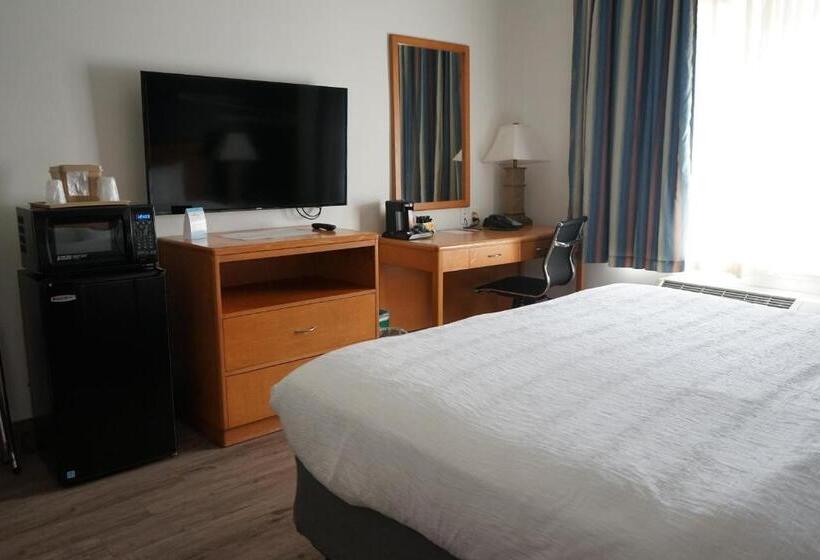 장애인을 위한 킹사이즈 침대 스탠다드 룸, Comfort Inn Hanford Lemoore