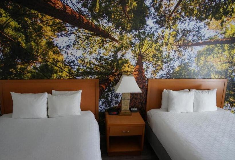 스탠다드 룸, Comfort Inn Hanford Lemoore