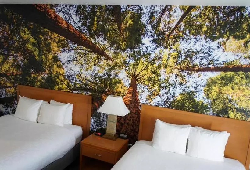 اتاق استاندارد, Comfort Inn Hanford Lemoore