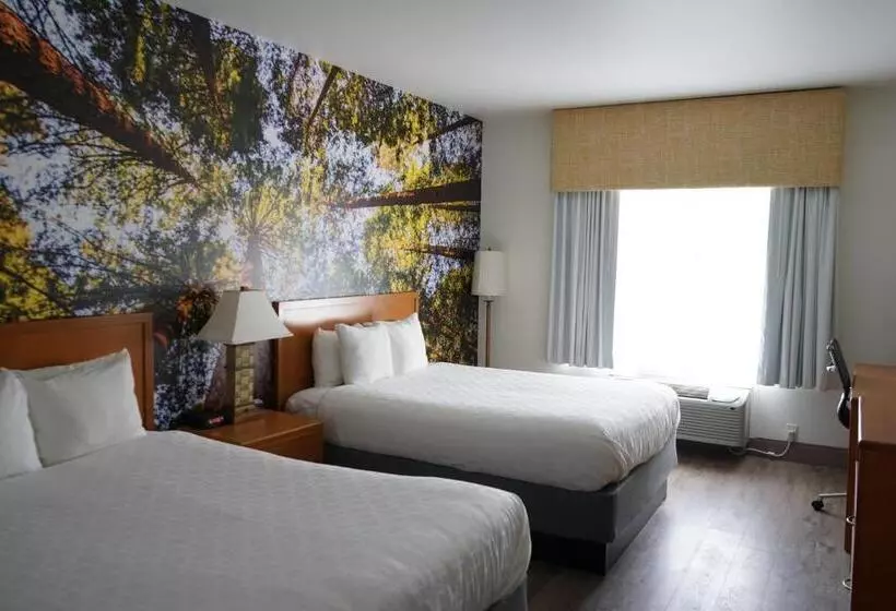 اتاق استاندارد, Comfort Inn Hanford Lemoore