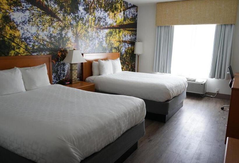 스탠다드 룸, Comfort Inn Hanford Lemoore