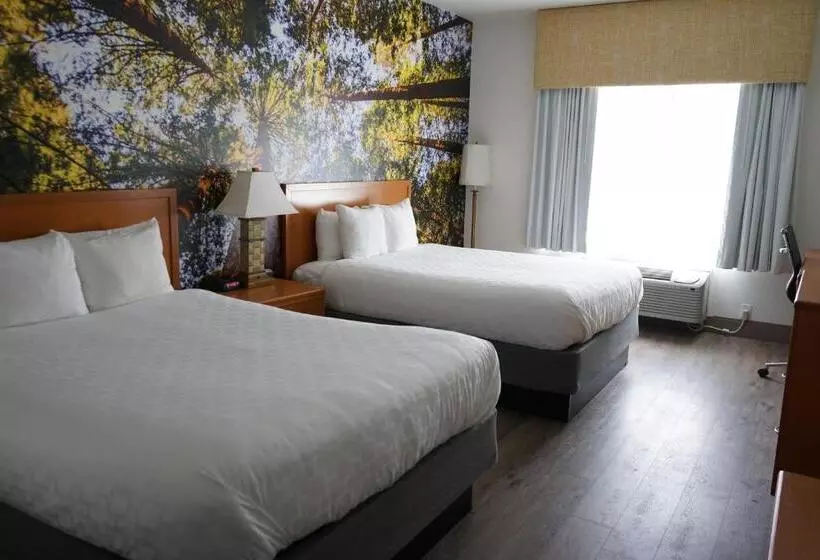 اتاق استاندارد, Comfort Inn Hanford Lemoore
