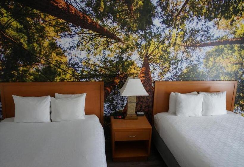 스탠다드 룸, Comfort Inn Hanford Lemoore