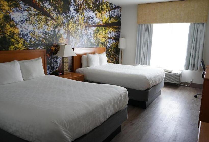 스탠다드 룸, Comfort Inn Hanford Lemoore