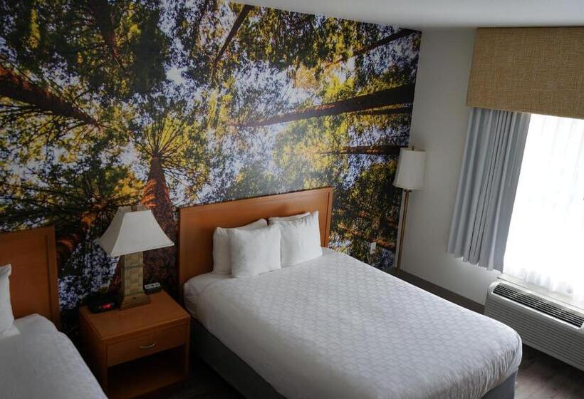 스탠다드 룸, Comfort Inn Hanford Lemoore